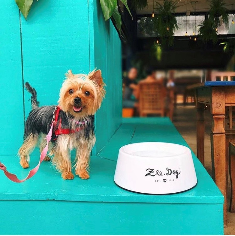 Pet cliente do restaurante The Plant — Foto: Instagram @theplantbr