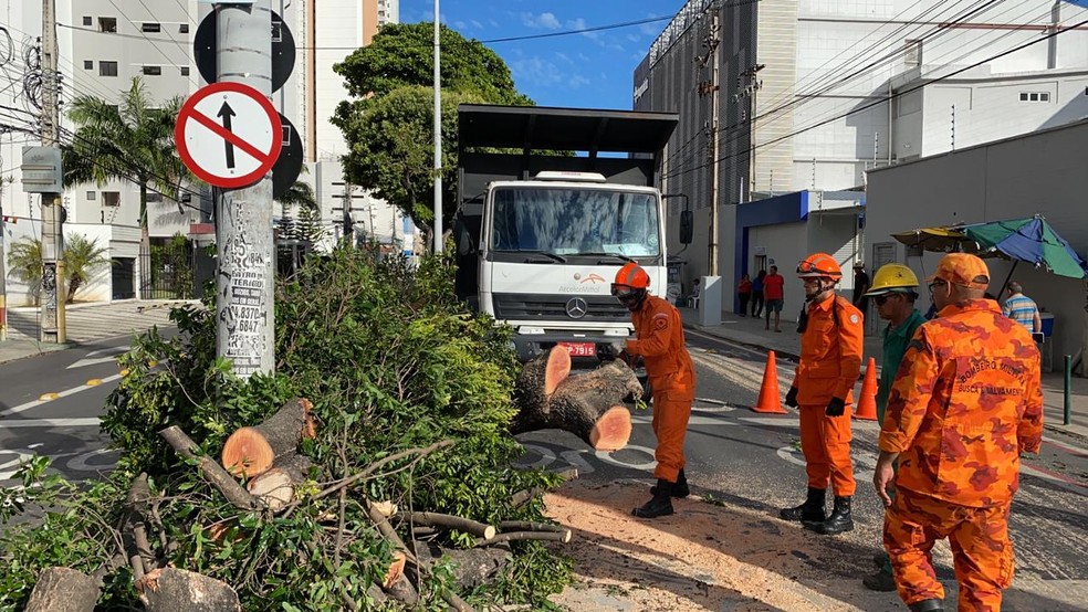 Árvore caiu e bloqueou duas das quatro vias da Av. Heráclito Graça, no Centro de Fortaleza. — Foto: Paulo Sadat/SVM