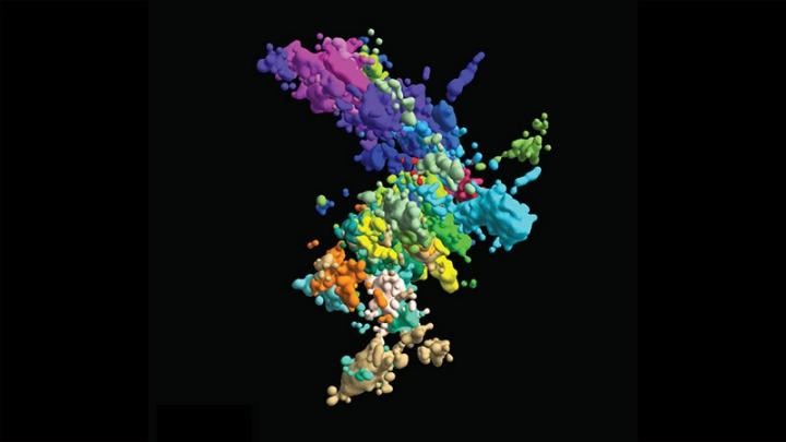 Imagem multicolorida representativa em 3D da aparência de um cromossomo (Foto: Laboratório Xiaowei Zhuang)