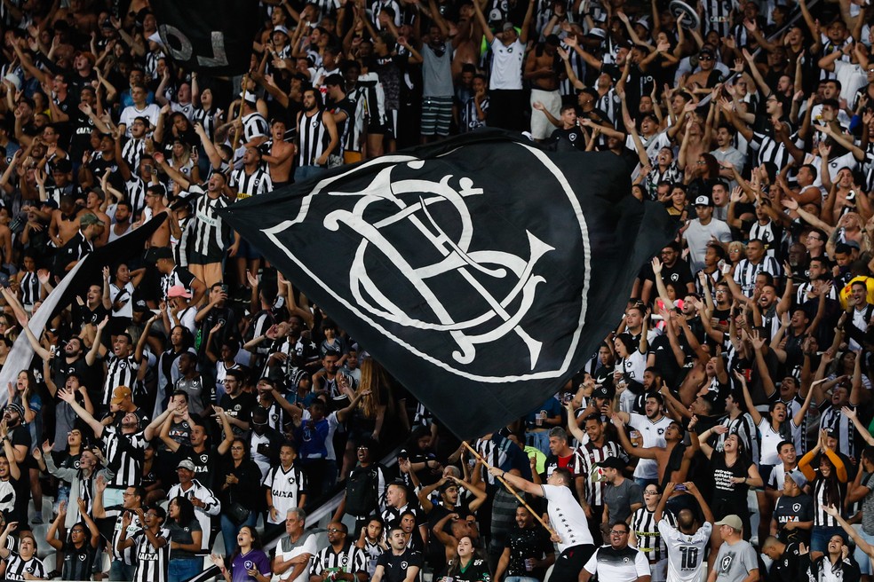 Torcida do Botafogo festeja vitória no Nilton Santos — Foto: Agência Estado
