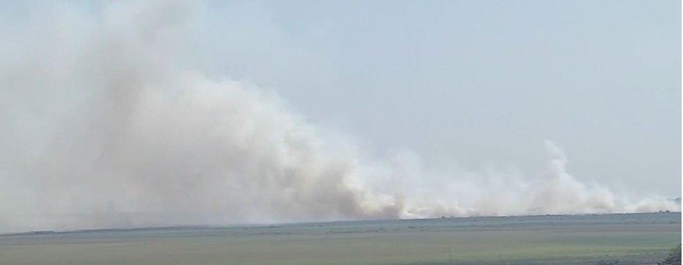 Incêndio em Corumbá (MS), no Pantanal sul-mato-grossense — Foto: TV Morena/Reprodução