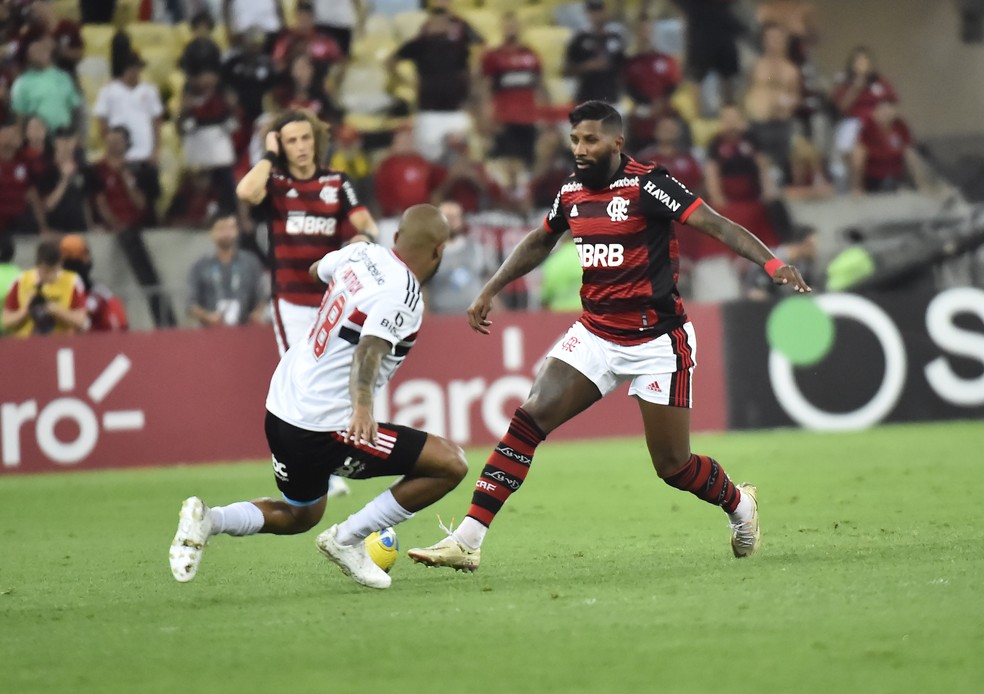 Rodinei e Patrick em Flamengo x S&atilde;o Paulo &mdash; Foto: Andr&eacute; Dur&atilde;o 