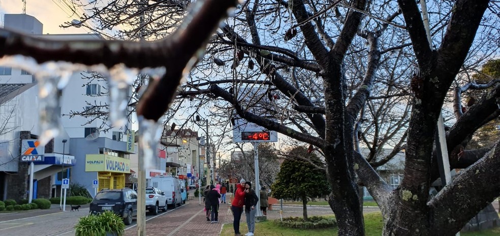 Centro de São Joaquim amanheceu com árvores congeladas — Foto: Mychel Legnaghi/São Joaquim Online