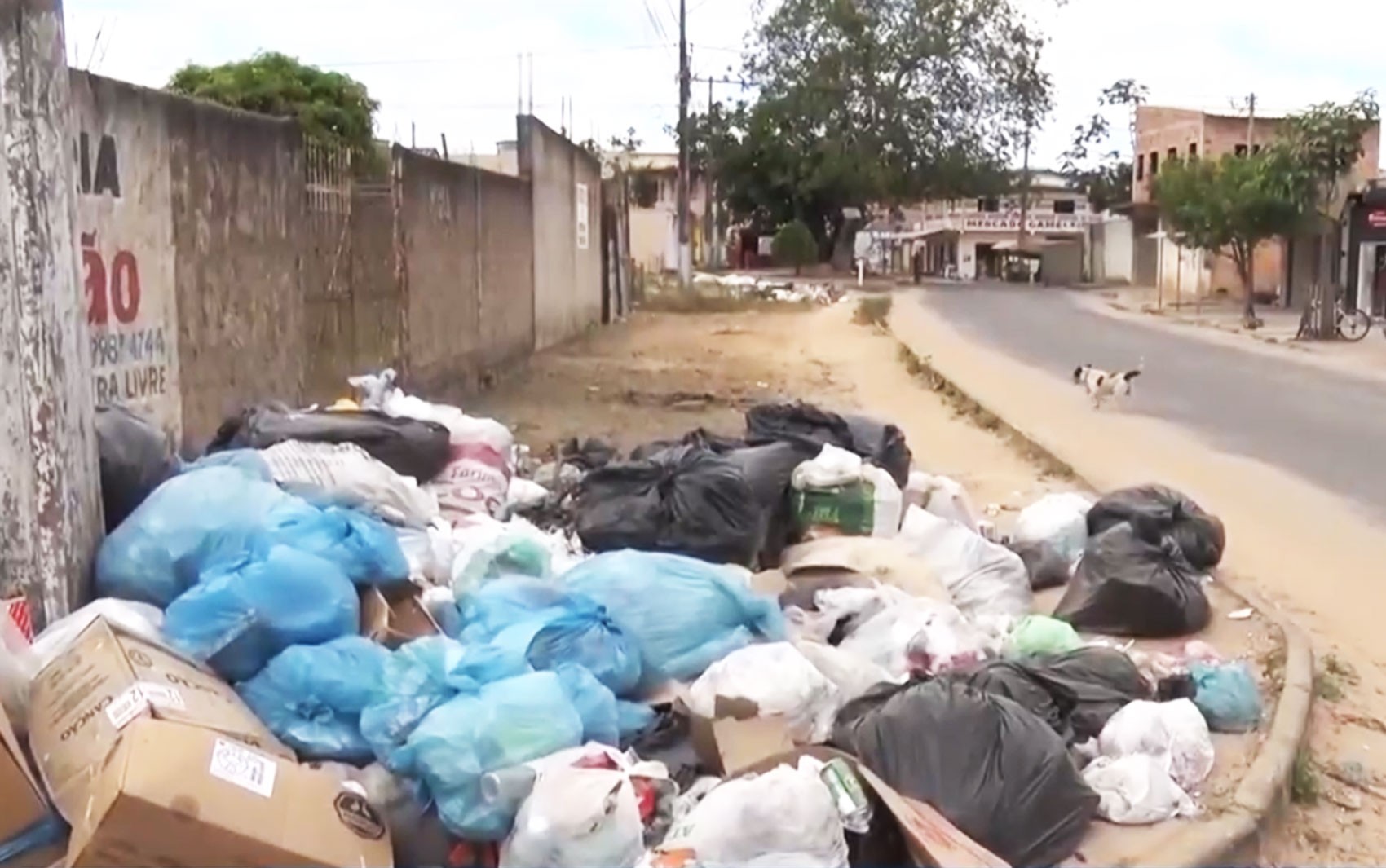 Com lixo espalhado pela cidade, prefeitura de Teixeira de Freitas decreta calamidade pública 