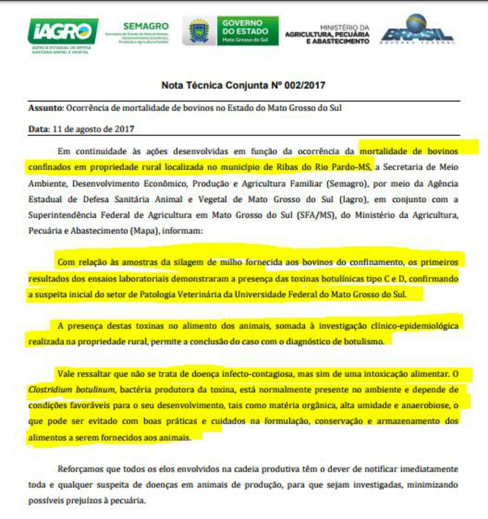 Nota técnica divulgada pela Semagro, Iagro e SFA sobre morte de bovinos em MS (Foto: Reprodução/TV Morena)