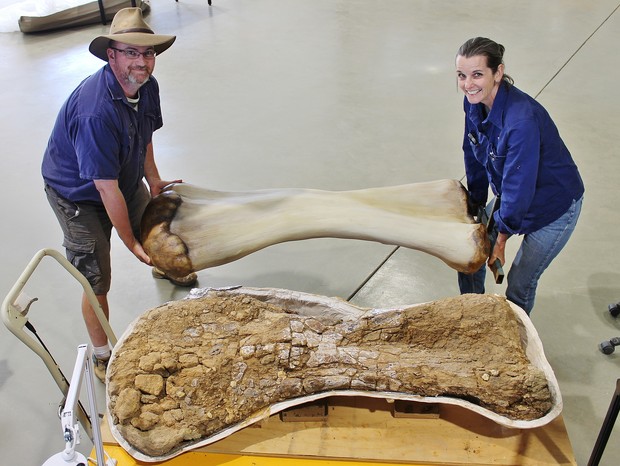 Apelidado de "Cooper", esqueleto fossializado pertence à uma das 15 maiores espécies de dinossauro do mundo (Foto: Eromanga Natural History Museum)