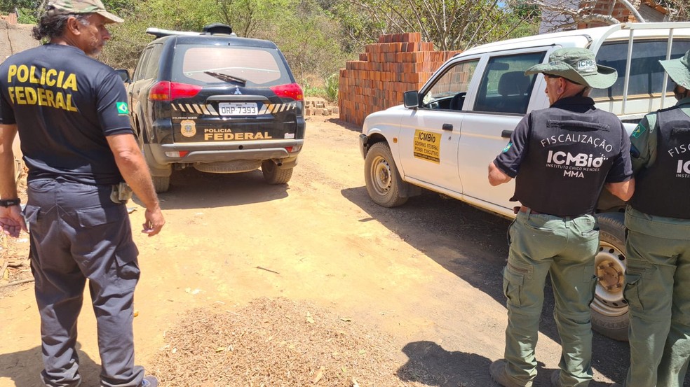 Polícia Federal flagra desmatamento em área de proteção ambiental no Ceará — Foto: Divulgação