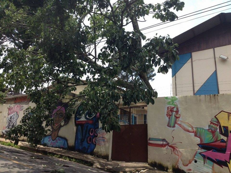 Árvore caiu sobre fiação e muro em escola de Juiz de Fora (Foto: Ana Cecília Almeida/Arquivo Pessoal)