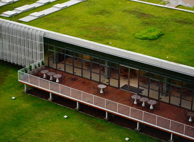 Projetado pelo Estúdio 41 e executado pela EcoTelhado, o telhado verde da Fecomercio-RS possui grama e boldo (Foto: Carlos Macedo / Divulgação Fecomércio-RS)