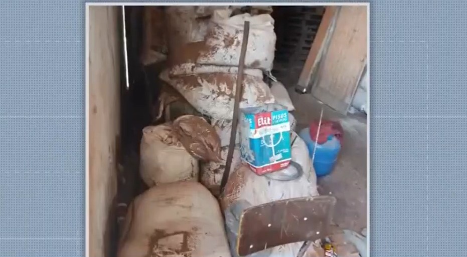 Fábrica clandestina de chocolate é fechada por insalubridade no sul da Bahia