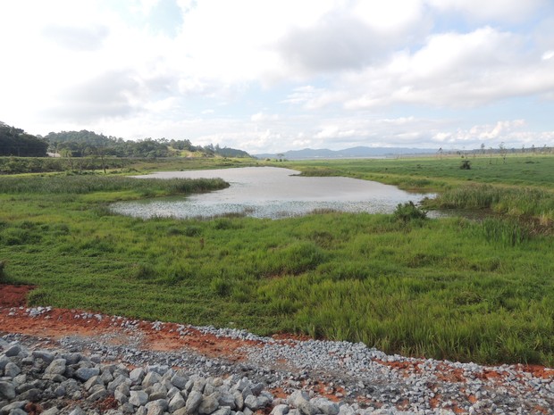 Com a seca, águas da represa de Taiaçupeba estão bem longe das margens da estrada elevada (Foto: Pedro Carlos Leite/G1)