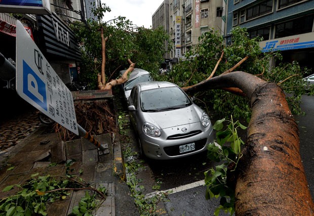 Carros danificados por árvores derrubadas pelo tufão Soulik neste sábado (13) em Taipei, Taiwan (Foto: Mark Ralston/AFP)