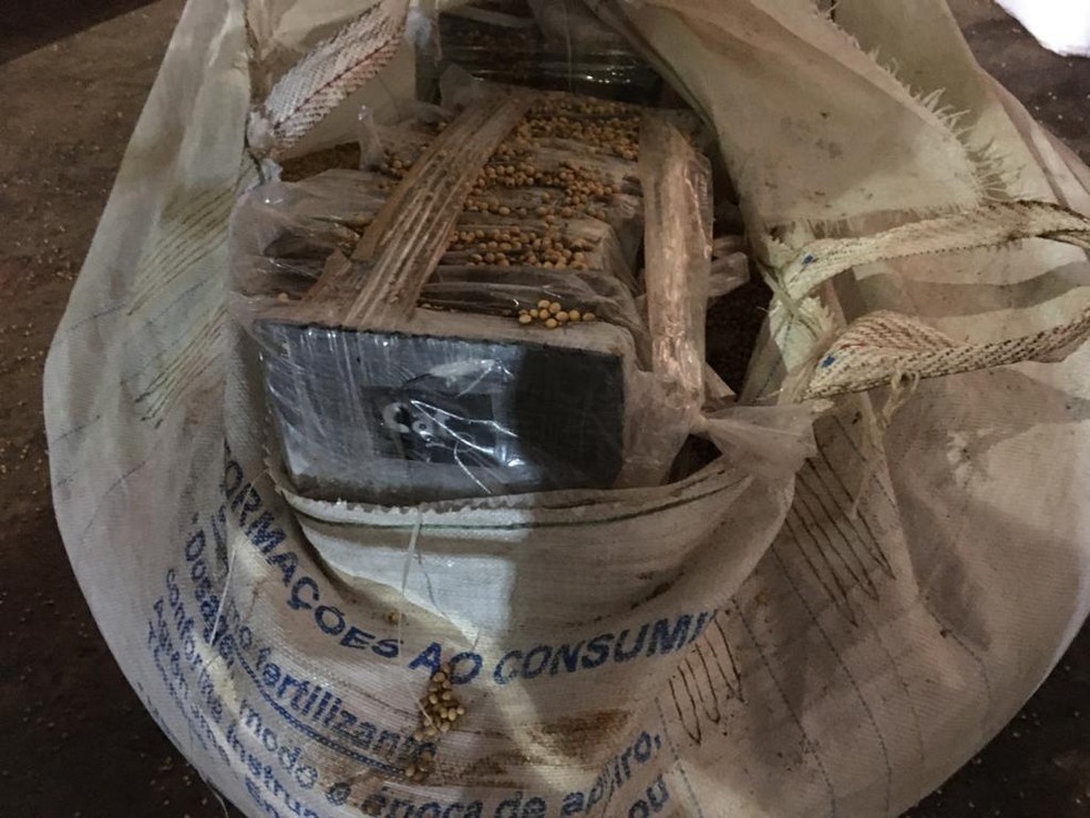 Mais de 200 kg de cocaína são apreendidos entre carga de soja no porto de Ilhéus, sul da Bahia — Foto: Divulgação/Polícia Federal