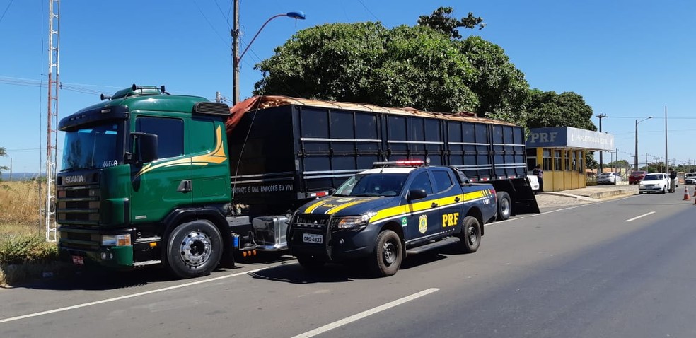 A carga vinha do estado do Pará e tinha como destino o estado de Alagoas — Foto: Divulgação/PRF