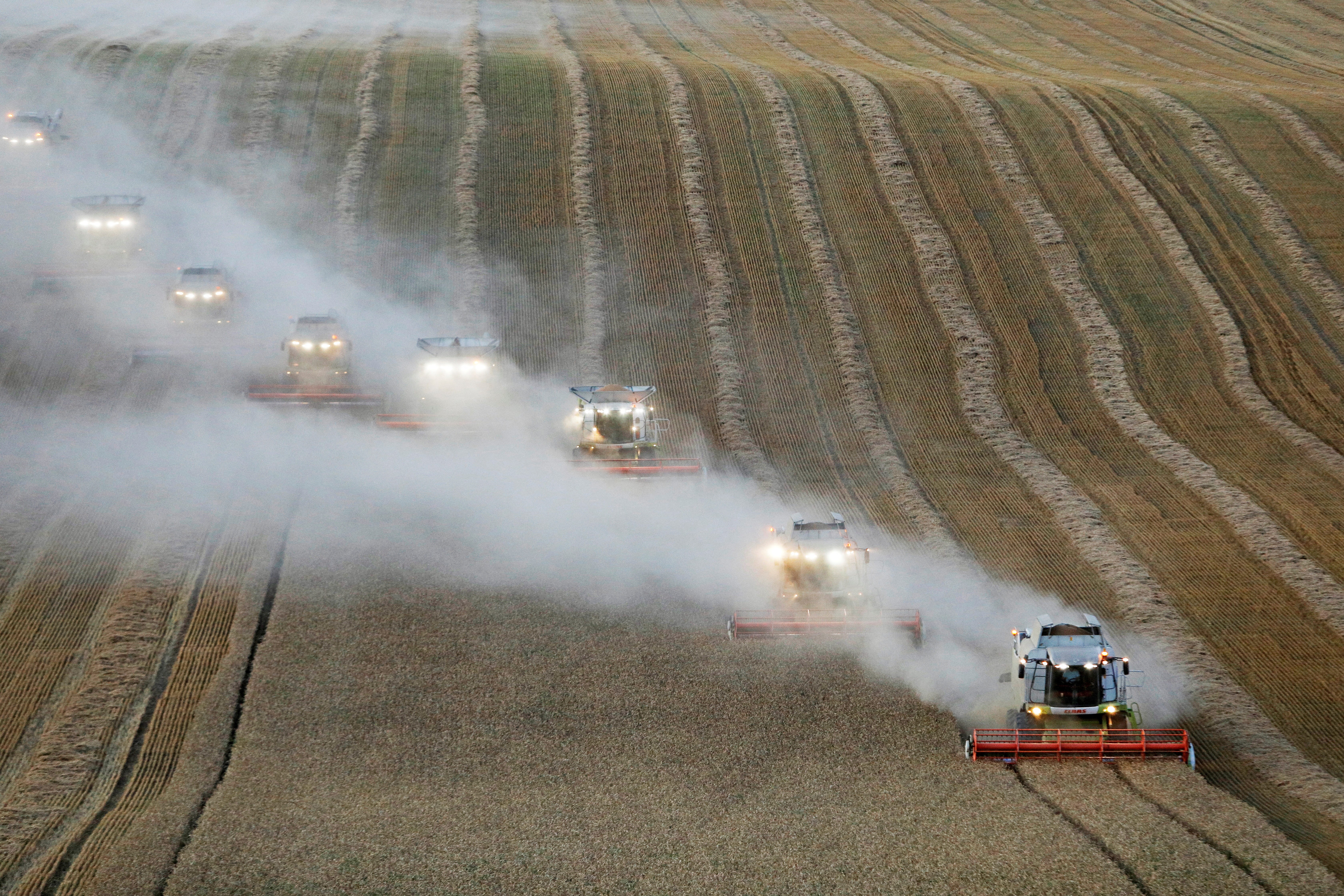 Cultivo de trigo na região de Stavropol, na Rússia (Foto: REUTERS/Eduard Korniyenko)