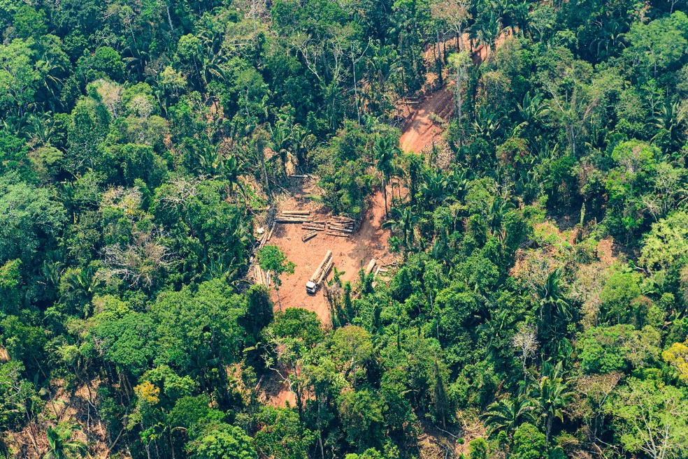 Colniza foi o município com maior área de floresta desmatada em Mato Grosso  — Foto: Marcos Vergueiro/SECOMMT