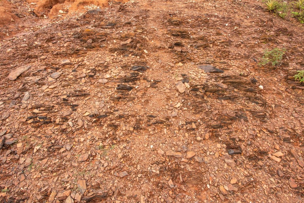 Detalhe do solo rochoso em uma área desertificada em Canudos (BA) — Foto: Celso Tavares/G1