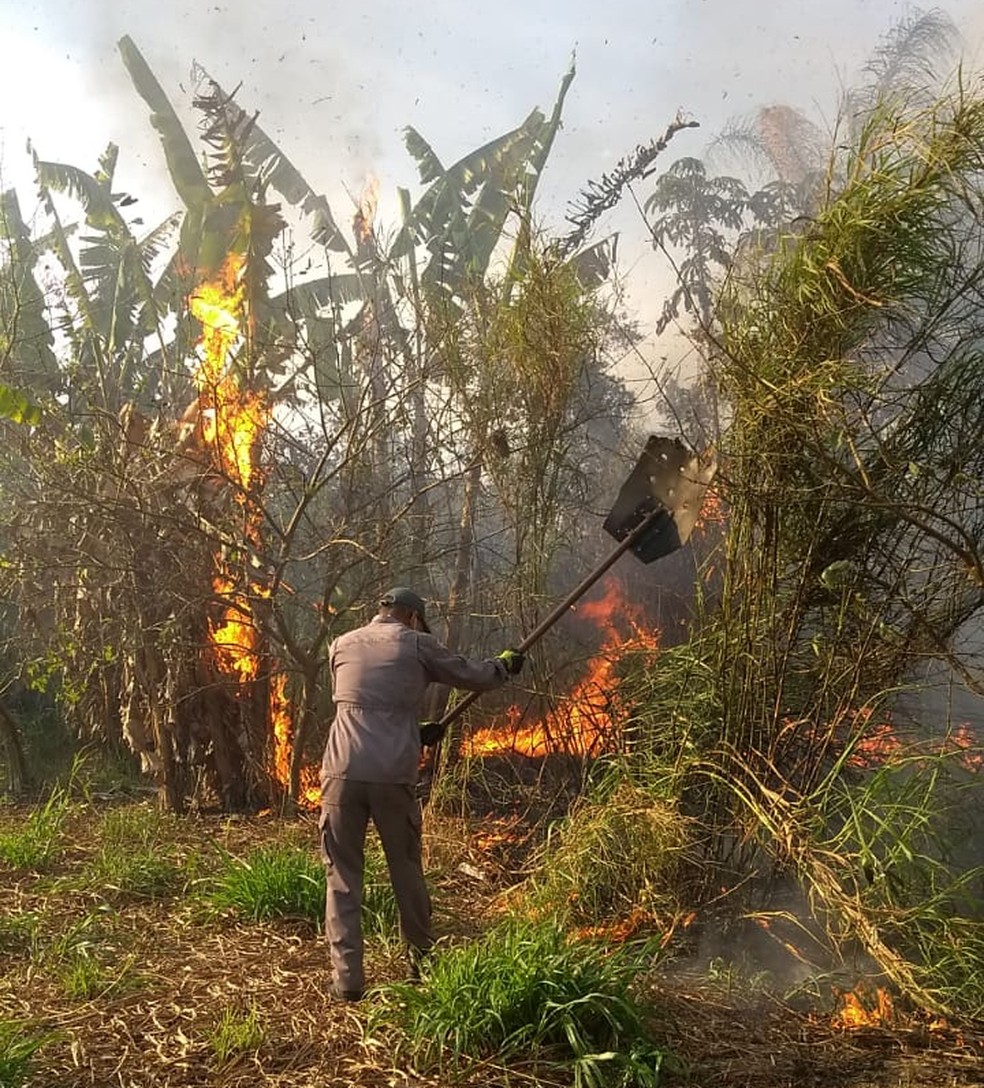 Fogo em área do Inpe de Cachoeira Paulista — Foto: Divulgação/Corpo de Bombeiros