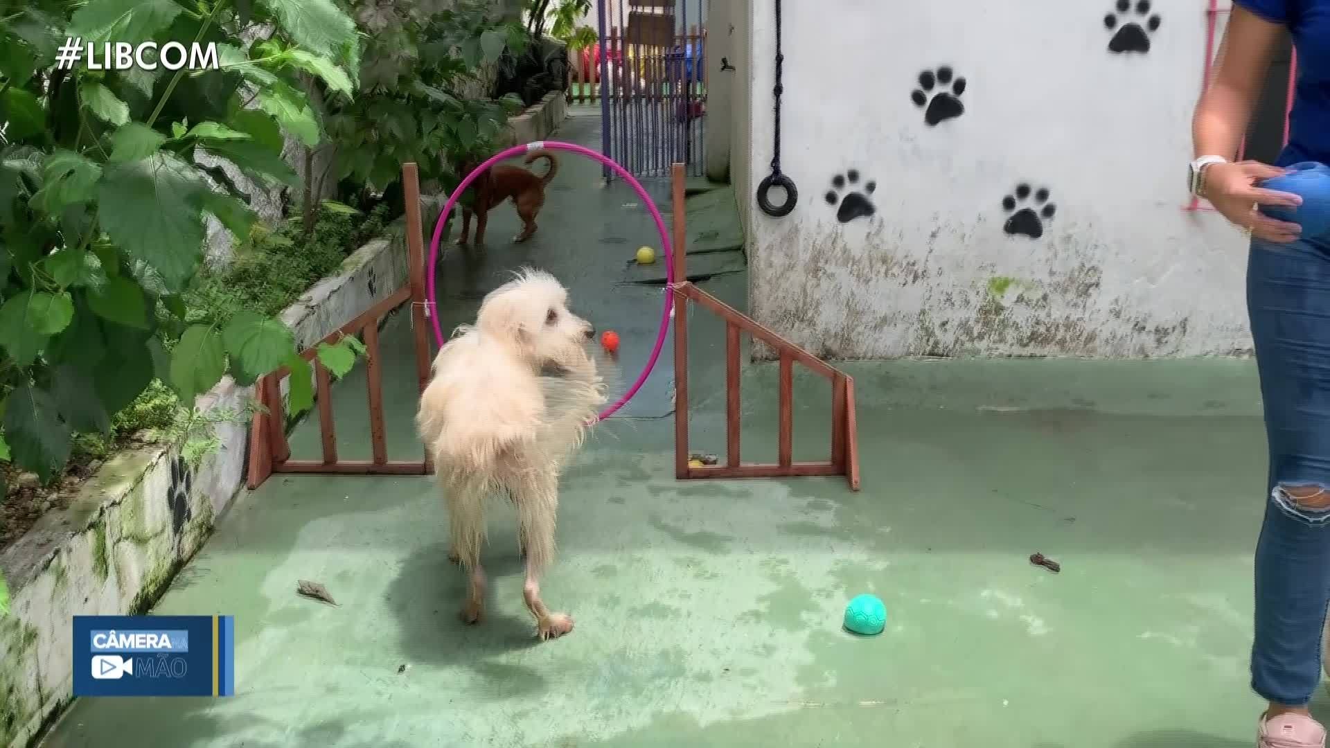 Liberal Comunidade deste domingo, 13 de fevereiro de 2022