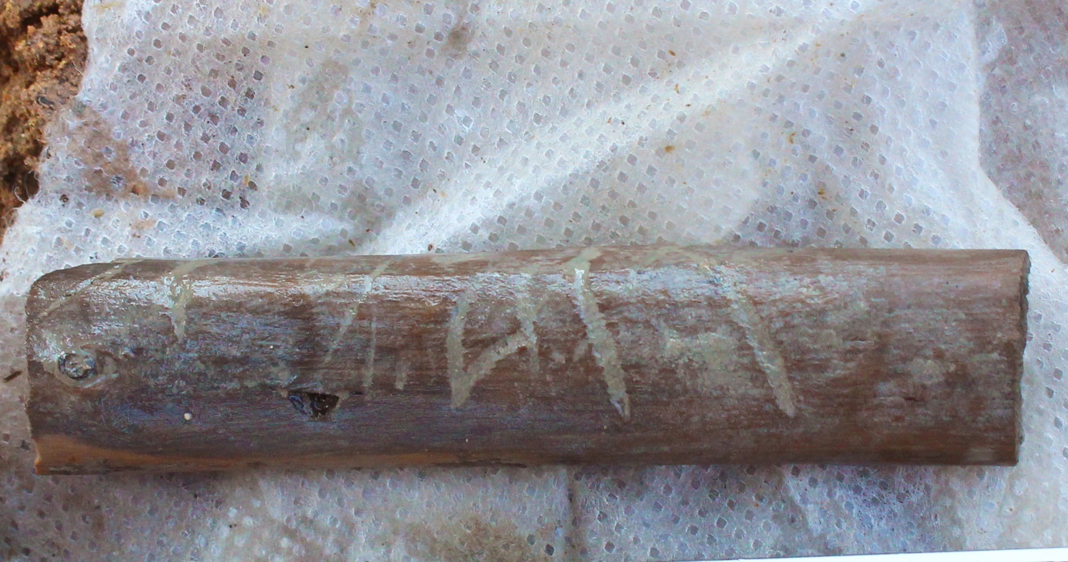 Artefato de madeira com inscrições encontrado no sítio arqueológico (Foto: S OPRINTENDENZA SPECIALE DI ROMA)