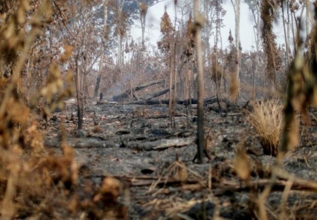Área queimada em 2020 perto de Apuí, no Estado do Amazonas (Foto: Reuters via BBC)