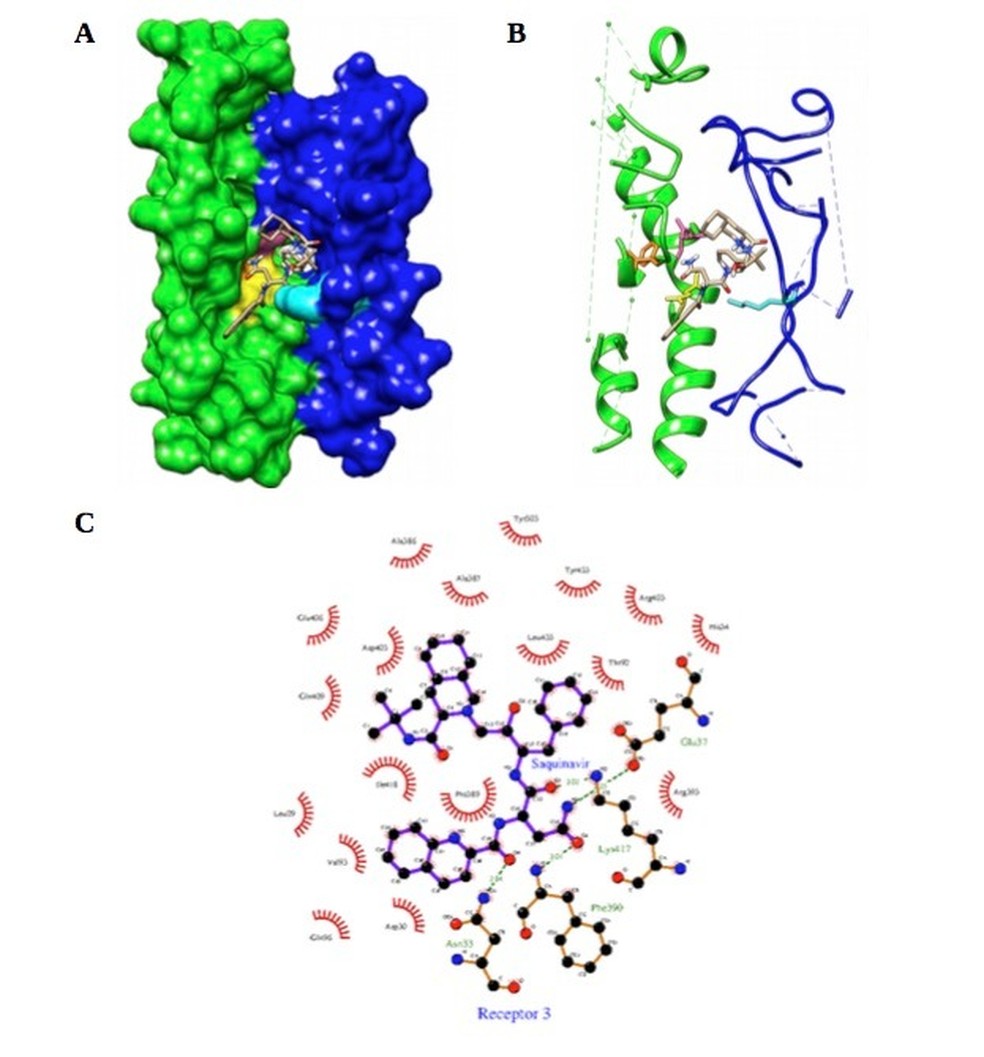 Diagrama feito em computador mostra a interação do Saquinavir com proteínas do coronavírus — Foto: Divulgação / LaPeSi