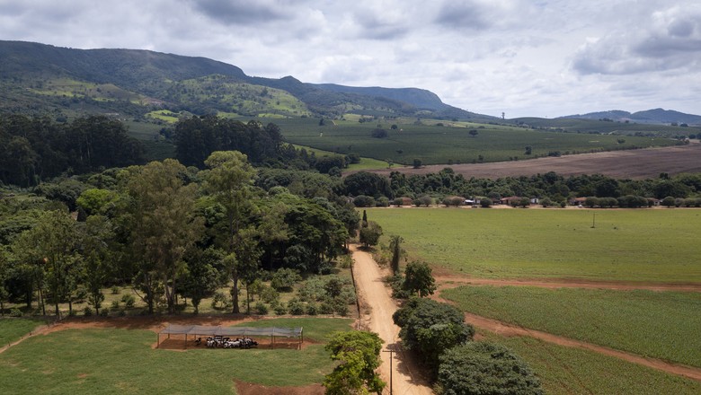 campo-interior-fazenda-rural-propriedade-terra-agro-agricultura (Foto: Fernando Martinho)