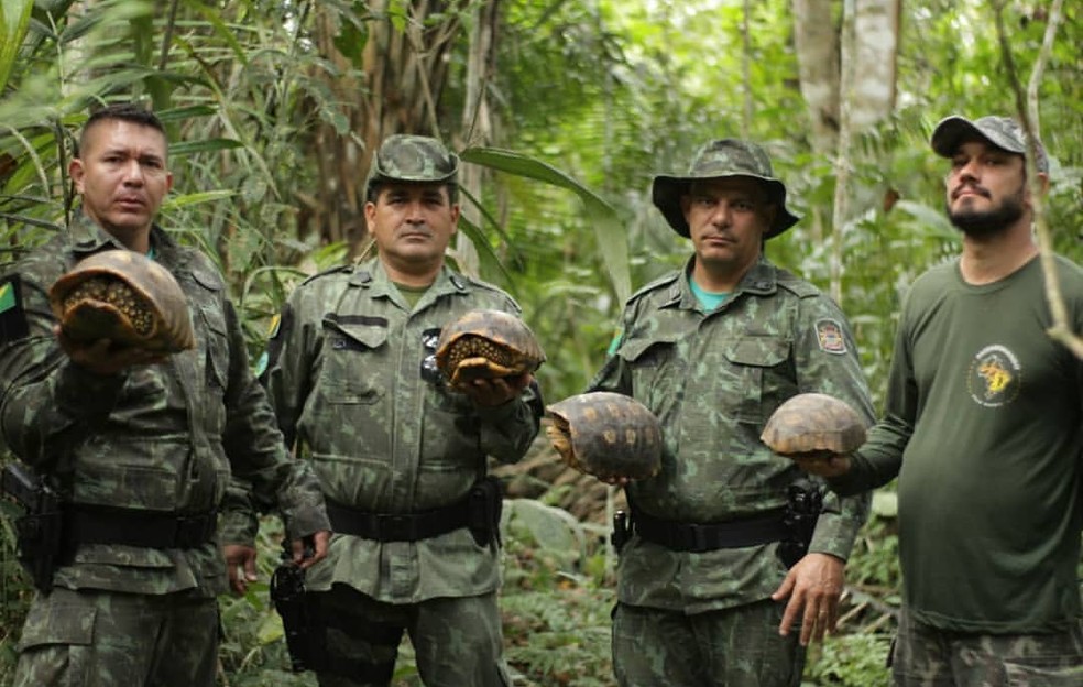 Equipe do Batalhão Ambiental com jabutis apreendidos — Foto:  Batalhão de Policiamento Ambiental 