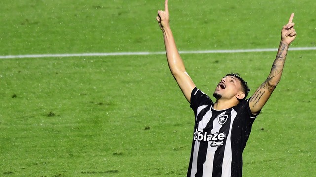 Tiquinho Soares comemora o gol em São Paulo x Botafogo