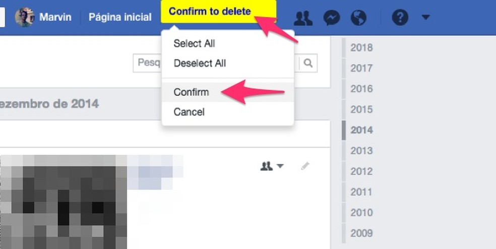 Ação para confirmar a exclusão de posts específicos do Facebook usando a extensão Social Book Post Manager — Foto: Reprodução/Marvin Costa