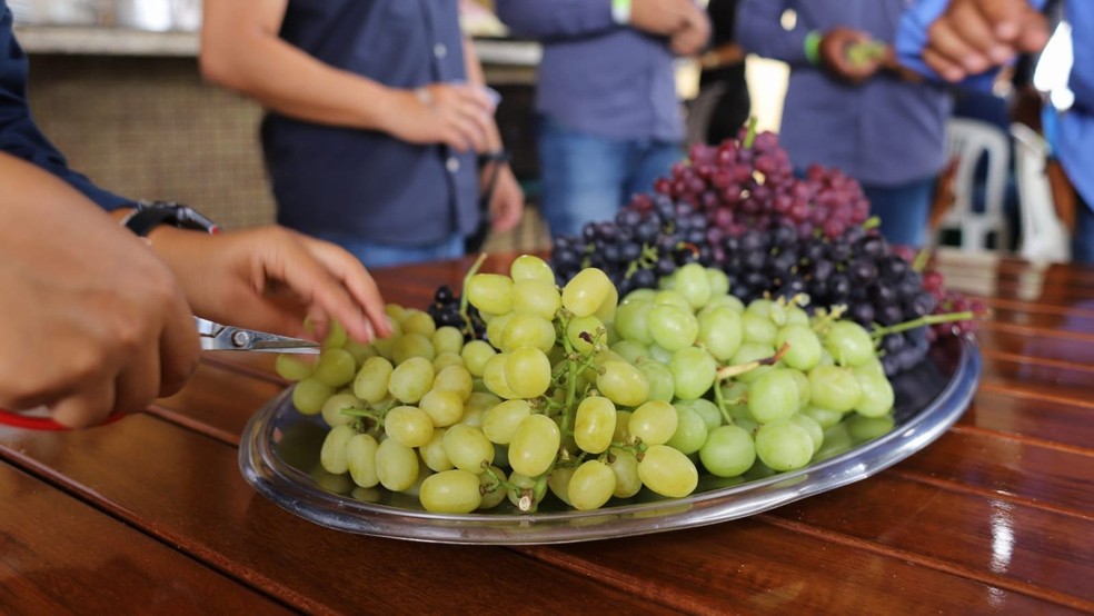 Qualidade da uva de mesa é medida não apenas pela doçura, mas por seu frescor ao chegar na mesa do consumidor final — Foto: Aline Oliveira