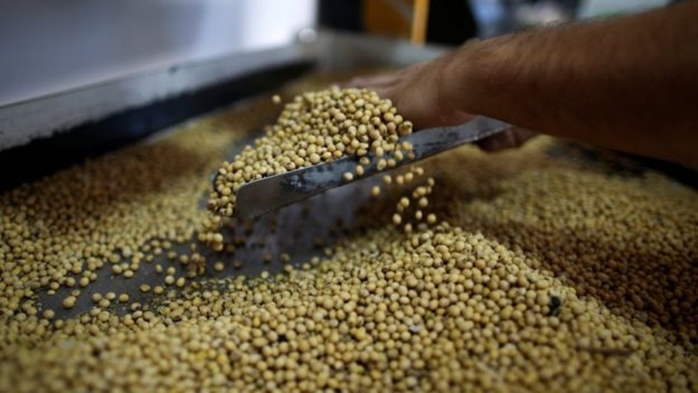 Guerra comercial pode elevar demanda externa pela soja brasileira (Foto: REUTERS)
