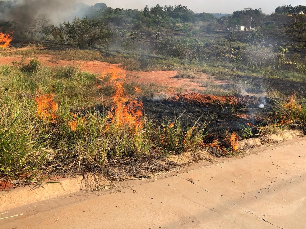 Incêndio em vegetação em trecho de Álvares Machado — Foto: Marcelo Pereira/TV Fronteira