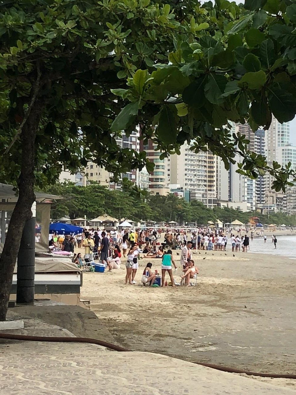 Aglomeracao E Registrada Em Balneario Camboriu Apesar Do Reforco Na Fiscalizacao Fotos Santa Catarina G1