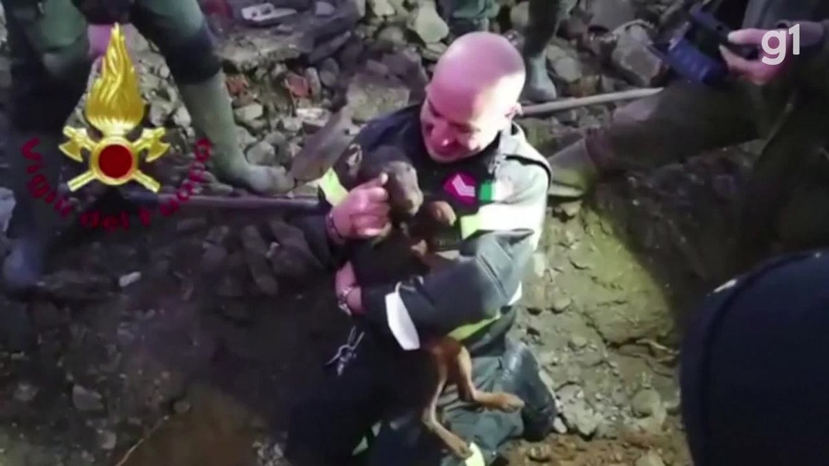 Italian firefighters rescue 2 dogs that were trapped in a fox hole underground; Watch VIDEO
