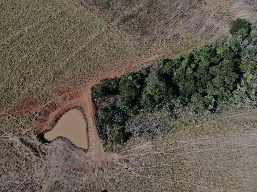 Fazendeiro foi multado em R$ 2,2 mil por degradação em uma APP, em Pirapozinho — Foto: Polícia Militar Ambiental