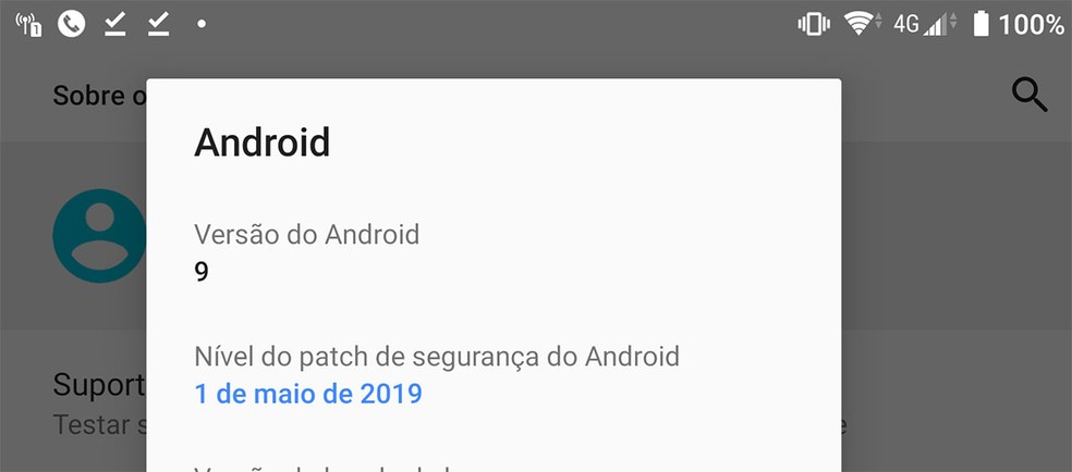 Consulta do nível do patch de segurança do Android, mostrando data de maio de 2019. — Foto: Reprodução
