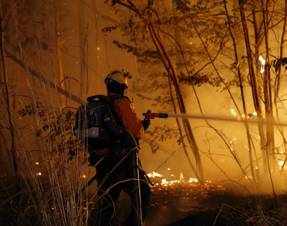 Bombeiro combate incêndio na Floresta Nacional de Brasília (Foto: Corpo de Bombeiros/Divulgação)