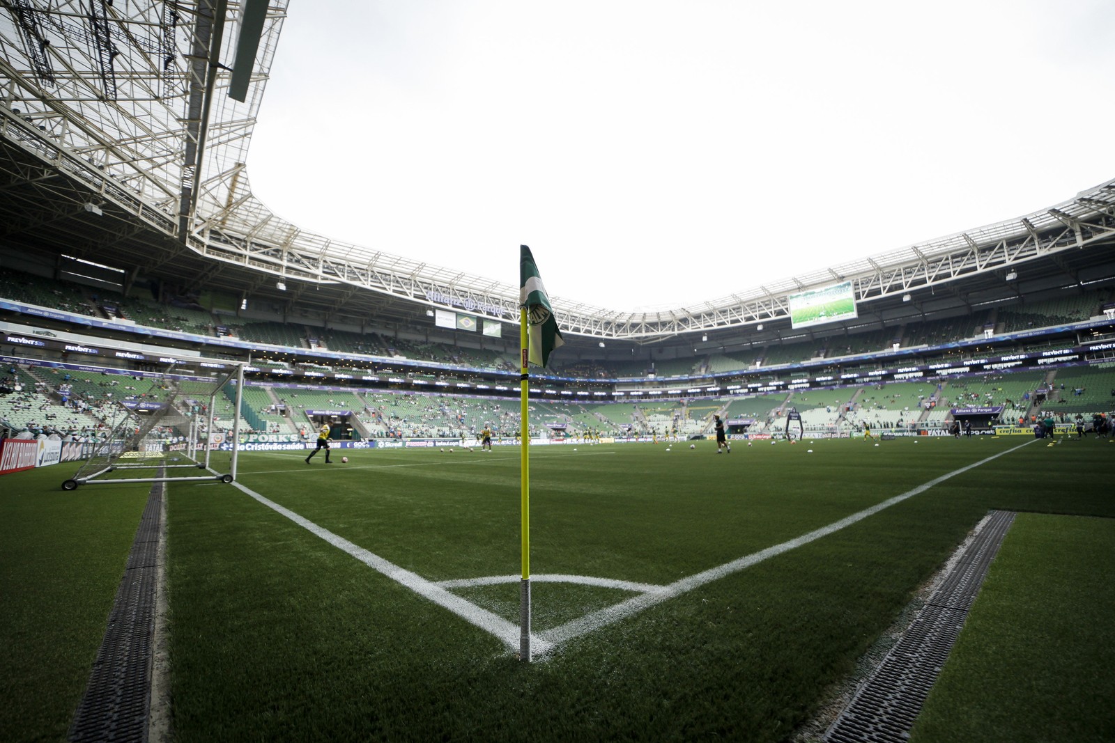 Palmeiras x Ferroviária: veja onde assistir, escalações, desfalques e arbitragem
