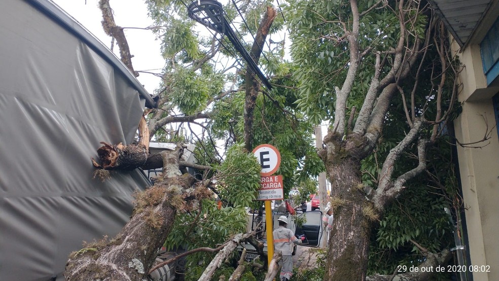 Carreta ficou enroscada em galho de árvore na Avenida Brasil — Foto: Corpo de Bombeiros 