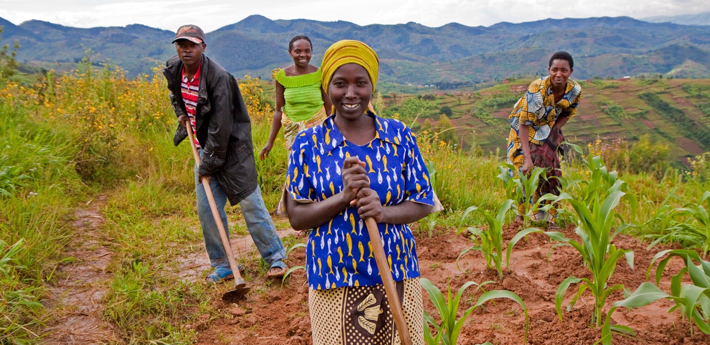 Mudanças climáticas podem fazer safras de alimentos básicos diminuírem bruscamente na África até 2050 (Foto: IFAD)