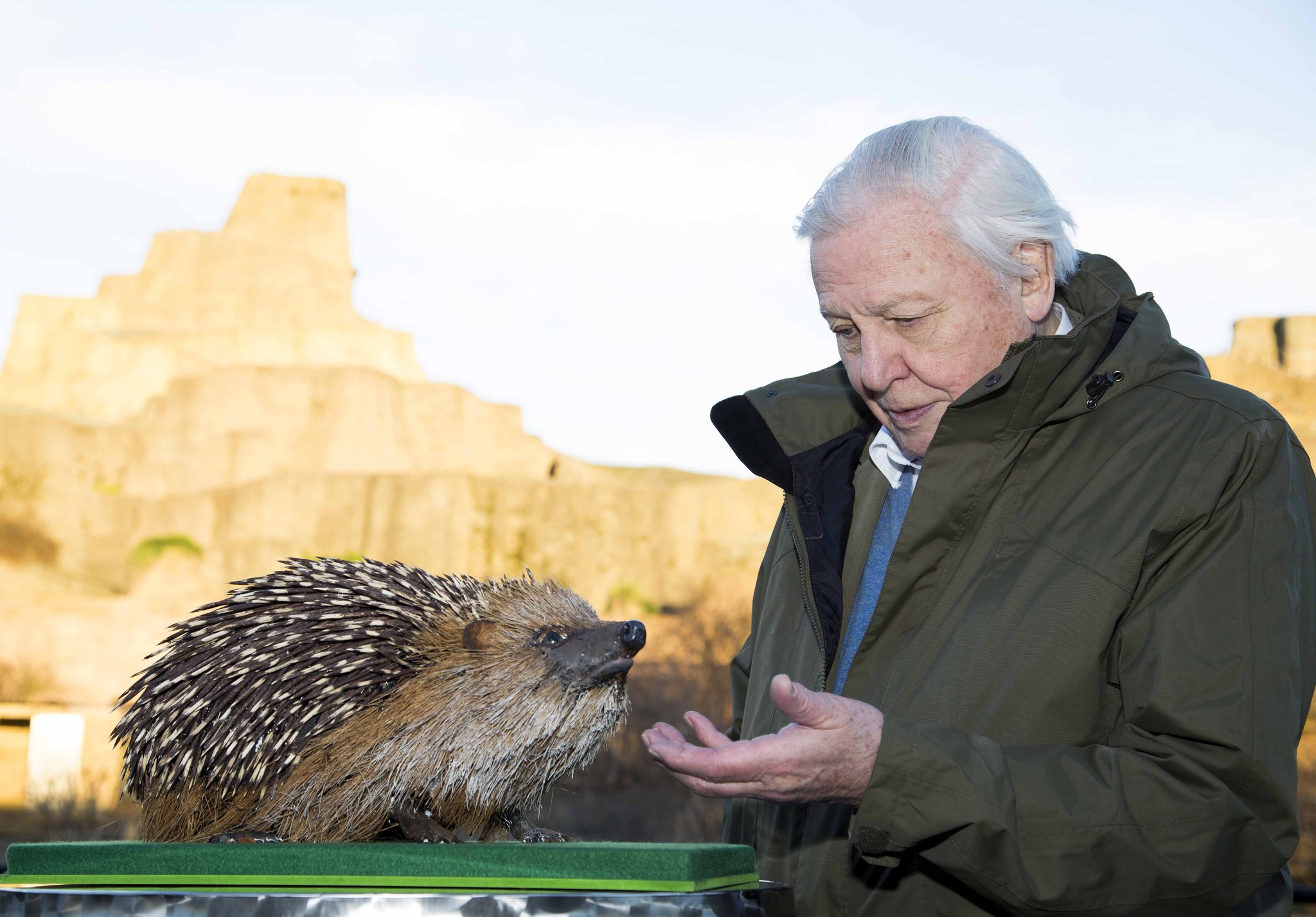 David Attenborough (Foto: Flickr/TaylorHerring)