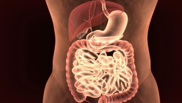 O baço, o pâncreas, o estômago e o cólon se encontram do lado esquerdo do corpo (Foto: Getty Images via BBC)