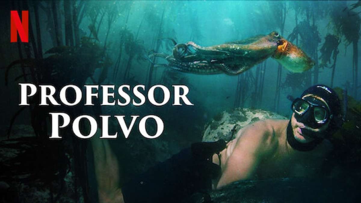 Professor Polvo (Foto: Divulgação)