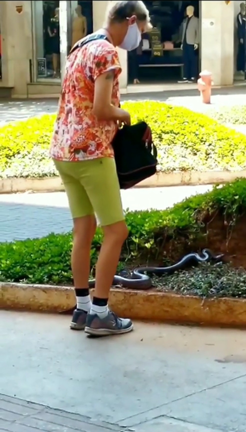 Mulher leva cobra para passear no Centro de Belo Horizonte — Foto: Reprodução/Redes sociais 