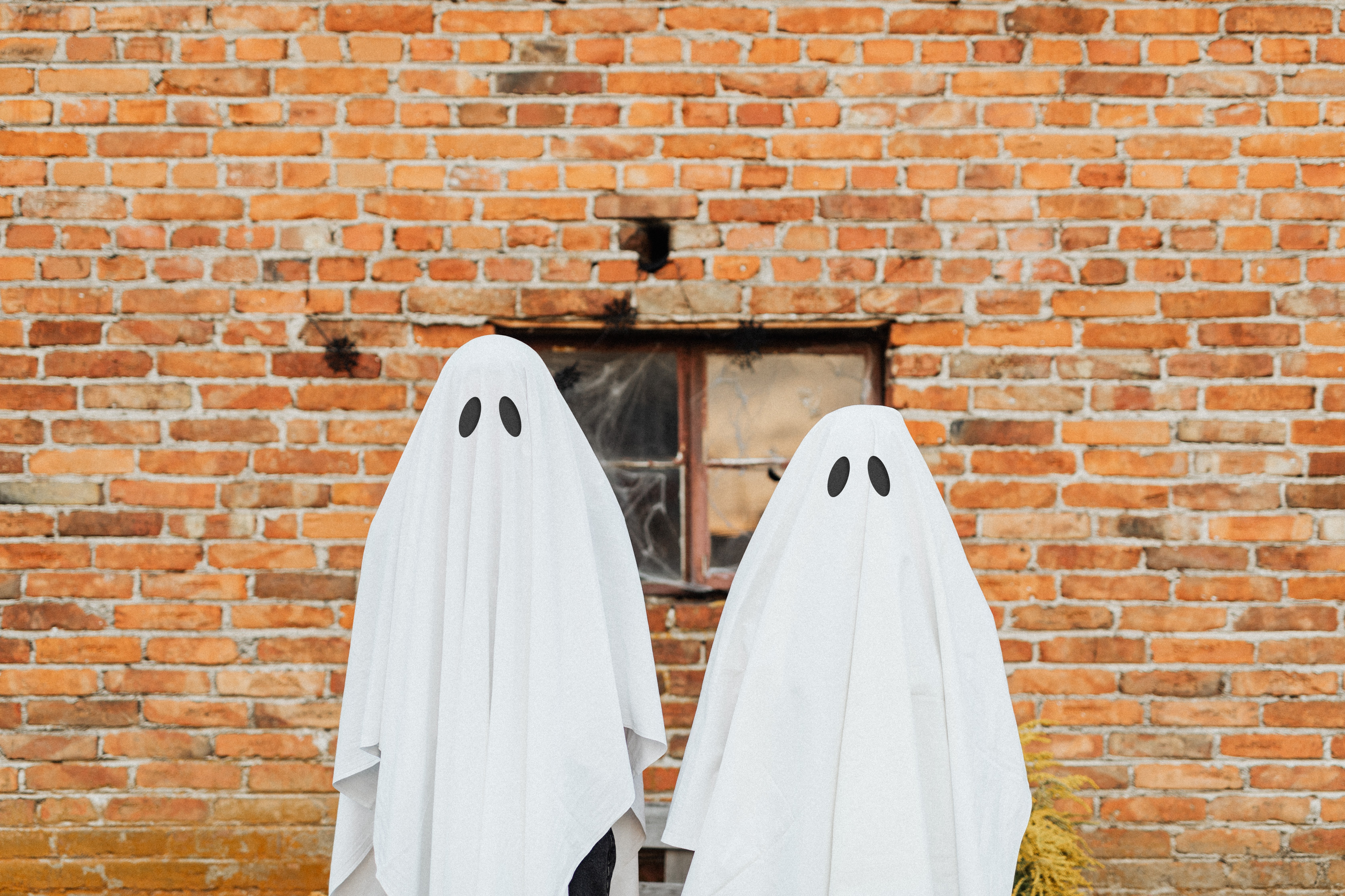5 dicas para montar uma fantasia de Halloween criativa e divertida