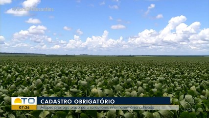 Prazo para produtores do soja informarem área cultiva é prorrogado