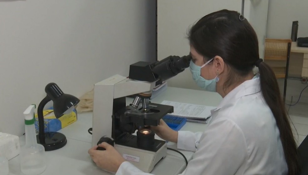 Pesquisa da Ufac descobre que além de Leishmaniose mosquito causa outras doenças — Foto: Reprodução/Rede Amazônica Acre