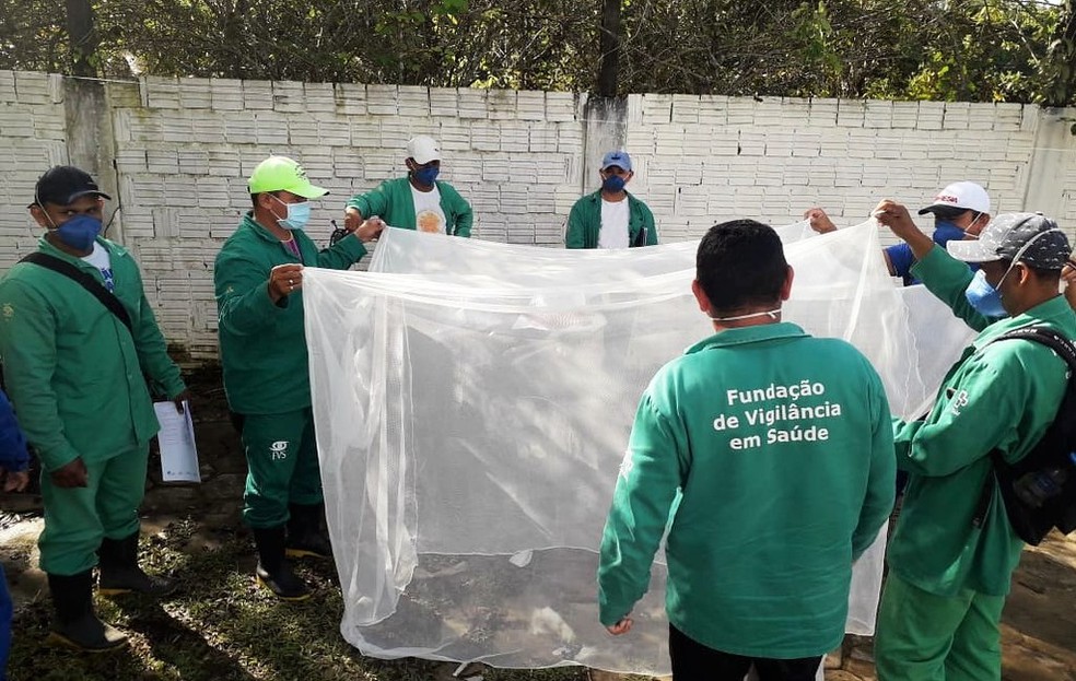 Amazonas registra mais de 57 mil casos de mal&aacute;ria em 2021 | Amazonas | G1