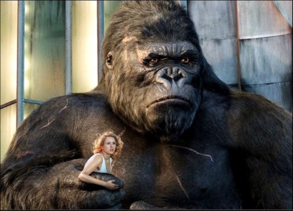 O filme 'King Kong', estrelado por Naomi Watts,  a atrao deste domingo da sesso 'Campees de Bilheteria'  Foto: Reproduo/IMDB